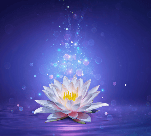 Weight Loss Meditation