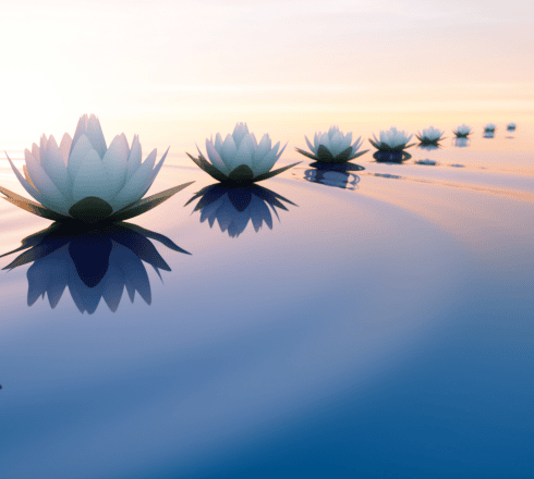 Unwind your Mind Meditation